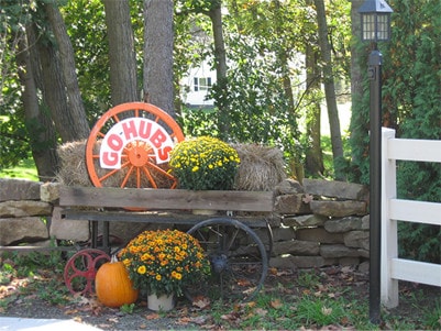 Go Hubs wheel in garden