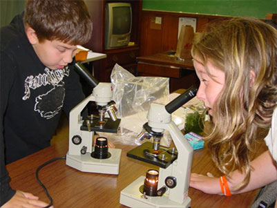 Male and female students looking into microscopes